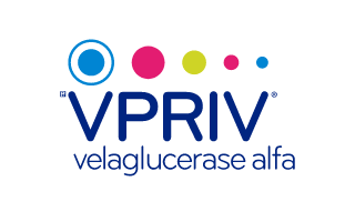 VPRIV EN Logo